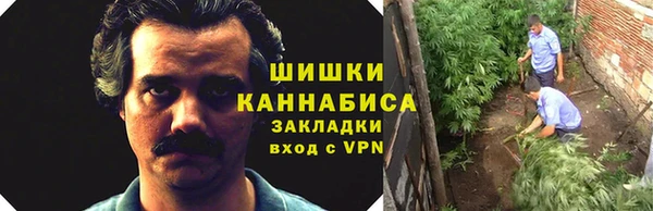 шишки Пестово