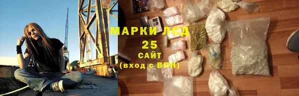 шишки Осташков