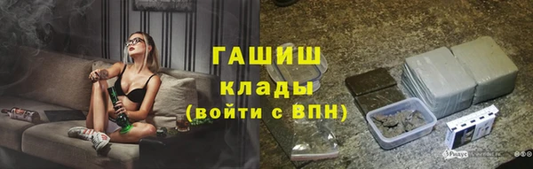 шишки Осташков