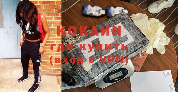 шишки Пестово
