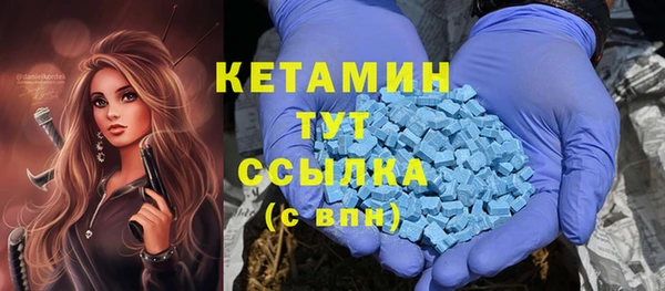 шишки Осташков