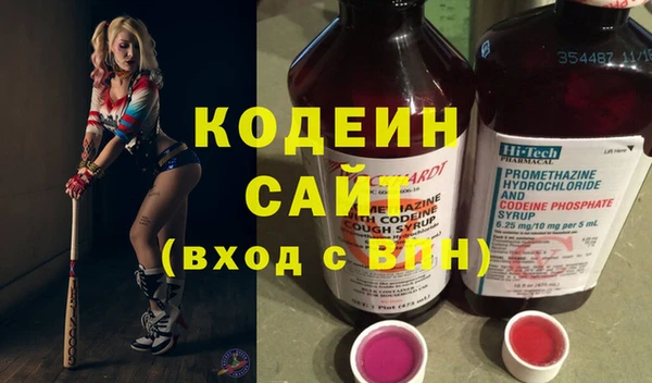 шишки Осташков