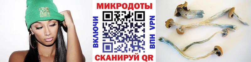 блэк спрут рабочий сайт  Полысаево  Псилоцибиновые грибы прущие грибы  где найти  