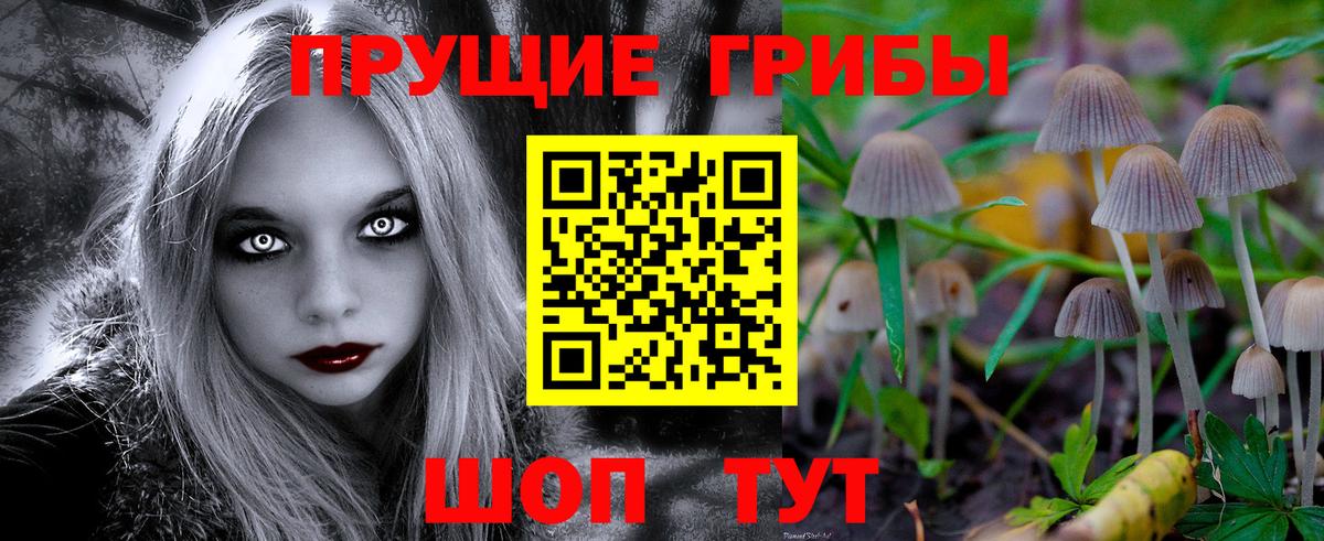 Псилоцибиновые грибы GOLDEN TEACHER Полысаево